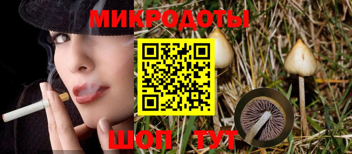 Галлюциногенные грибы MAGIC MUSHROOMS  Вход с VPN  Урус-Мартан 